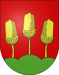Dorfverein Salvenach